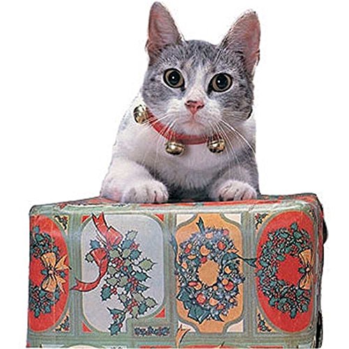 【中古】【未当て嵌める・未開封品】Rubies Jingle Cat Collar - One Size by Rubie\u0027s