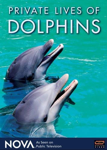【中古】【未使用・未開封品】Nova: Private Lives of Dolphins [DVD] [Import]