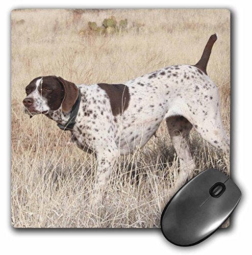 【中古】【未使用・未開封品】3drose LLC 8?x 8?x 0.25インチGerman Shorthair Pointerマウスパッド(MP 2871?_ 1?)|AJIMURA-SHOP