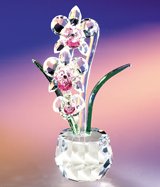 【中古】【未当て嵌める・未開封品】Crystal World エンジェルハートオーキッド