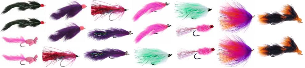 【中古】【未使用・未開封品】DiscountFlies アラスカシルバー サーモンフライフィッシングフライ ? フライフィッシングキット 20個のアソートフライ+フライボックス付き ?|AJIMURA-SHOP