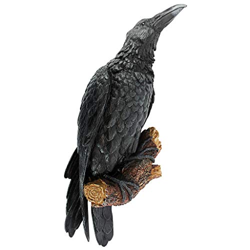 【中古】【未使用・未開封品】止まり木に止まるカラス 壁掛け彫刻 鳥自然オブジェ 彫像/ Design Toscano The Raven's Perch Wall Sculpture（並行輸入品画像