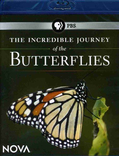 【中古】【未使用・未開封品】Nova: Incredible Journey of the Butterflies [Blu-ray] [Import]