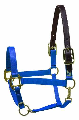 【中古】【未使用・未開封品】(Cob, Royal Blue) - Perri's Premium Nylon Safety Halter 40,450円