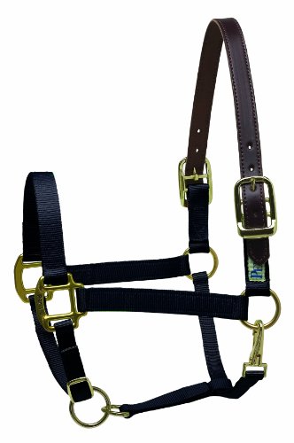 【中古】【未使用・未開封品】(Mini A, Black) - Perri's Premium Nylon Safety Halter