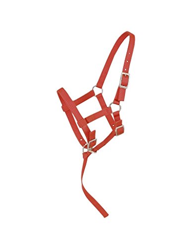 【中古】【未当て嵌める・未開封品】(Weanling, Red) - Tough 1 Adjustable Suckling Halter