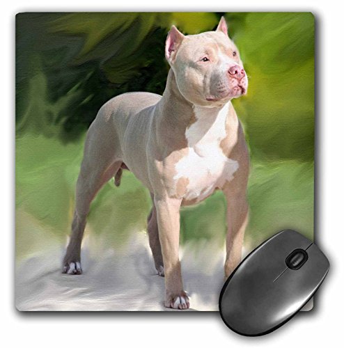 【中古】【未当て嵌める・未開封品】3drose LLC 8?x 8?x 0.25in二十日鼠パッド、American Pit Bull Terrier ( MP _ 4241?_ 1?)