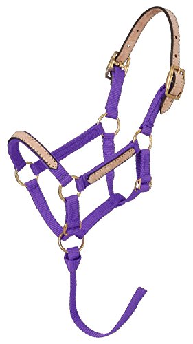 【中古】【未使用・未開封品】(Regular, Purple) - Tough 1 Miniature Nylon Break-Away Halter
