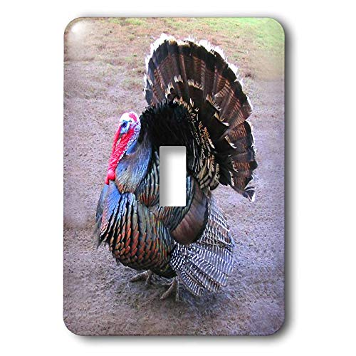 【中古】【未使用・未開封品】3drose LLC lsp _ 4042?_ 1?Wild Turkey Single切り替えスイッチ