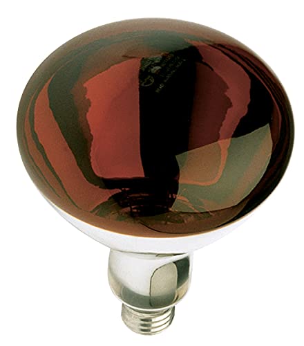 【中古】【未当て嵌める・未開封品】Satco S4884 120V 250 Watt R40 Medium Base Shatterproof Heat Lamp, Red [並行輸入品]