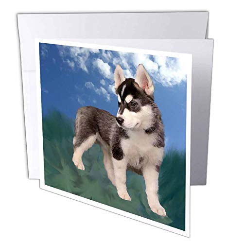【中古】【未使用・未開封品】犬シベリアンハスキー???Siberian Husky Puppy???グリーティングカード Set of 12 Greeting Cards｜AJIMURA-SHOP
