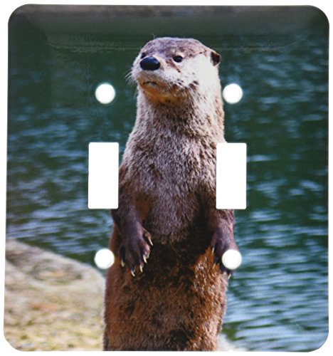 【中古】【未当て嵌める・未開封品】3drose LLC lsp _ 4656?_ 2?Otterダブルうつり変わり取り替えっこ