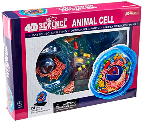 【中古】【未使用・未開封品】4D-Vision Scorpion Anatomy Model By Famemaster 4D-Vision [並行輸入品]｜AJIMURA-SHOP