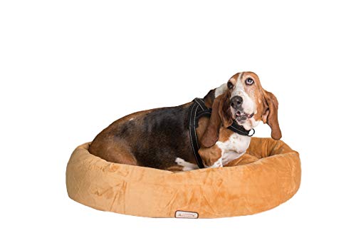 【中古】【未使用・未開封品】Armarkat Pet Bed 33-Inch by 24-Inch D02CZS-Medium, Brown by Armarkat