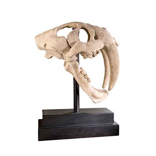 【中古】【未使用・未開封品】Design Toscano Sabre-Toothed Tiger Skull Artefact in Stone