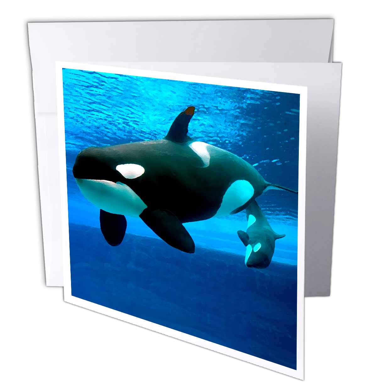 【中古】【未使用・未開封品】Whales???Killer Whales???グリーティングカード Set of 12 Greeting Cards