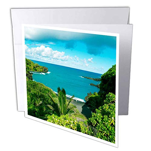 【中古】【未使用・未開封品】Janna Salak Photographyハワイ???AブラックSand Paradise???グリーティングカード Set of 12 Greeting Cards