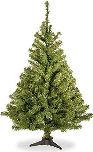 【中古】【未使用・未開封品】National Tree KCDR-40 Kincaid Spruce Tree's, 4-Feet by National Tree Company