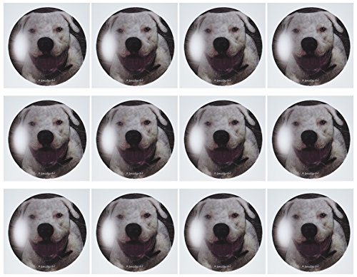 【中古】【未使用・未開封品】SmudgeArt犬アートデザイン???American Bulldog???グリーティングカード Set of 12 Greeting Cards
