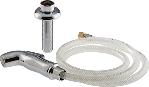 【中古】【未使用・未開封品】Peerless Rp44125 Spray And Hose Assembly, Chrome, New.