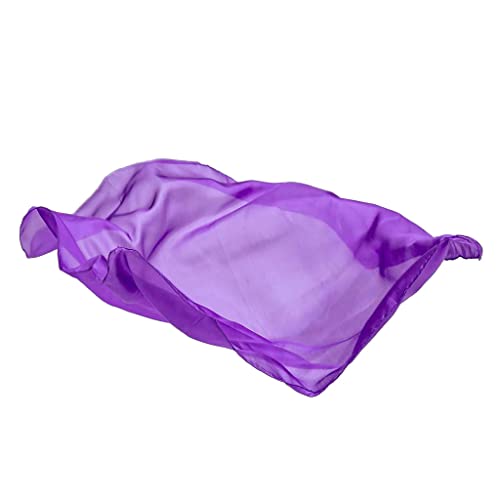 【中古】【未使用・未開封品】[サラシルク]Sarah's Silks Purple Playsilk By 5017 [並行輸入品] 11,704円