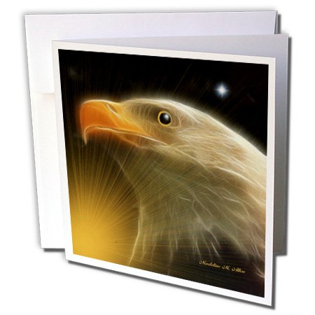 【中古】【未使用・未開封品】SmudgeArt鳥アートデザイン???The Sentry???グリーティングカード Set of 12 Greeting Cards｜AJIMURA-SHOP