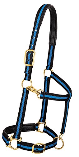 【中古】【未使用・未開封品】(2.5cm Average Horse, Blue/Black) - Weaver Leather Padded Adjustable Nylon Horse Halter