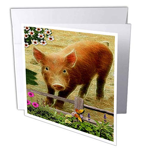 【中古】【未使用・未開封品】ワイルドライフデザイン???Little Pig???グリーティングカード Set of 12 Greeting Cards｜AJIMURA-SHOP