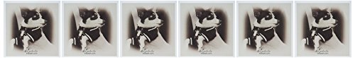 【中古】【未使用・未開封品】Milasアート犬???チワワ???グリーティングカード Set of 6 Greeting Cards
