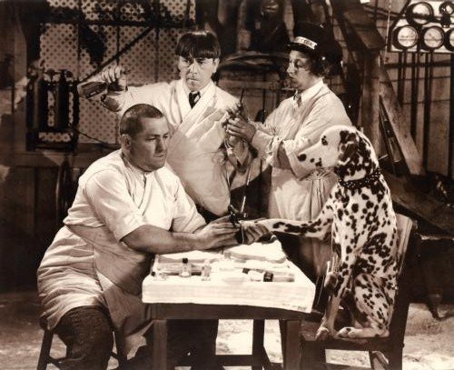 【中古】【未使用・未開封品】Three Stooges映画ポスターDalmatian # 03b 11?x 17マスター印刷