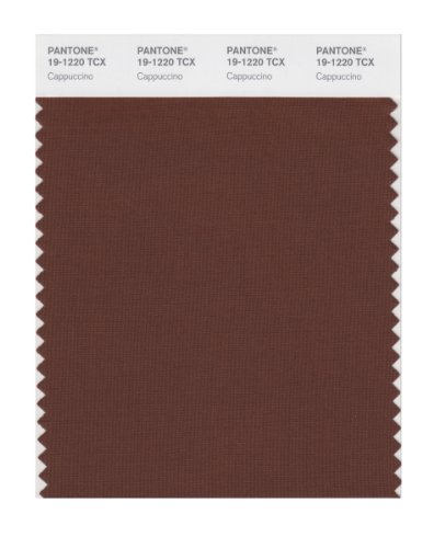 【中古】【未当てはめる・未開封品】PANTONE Smart 19-1220X カラースウォッチカード カップチーノ
