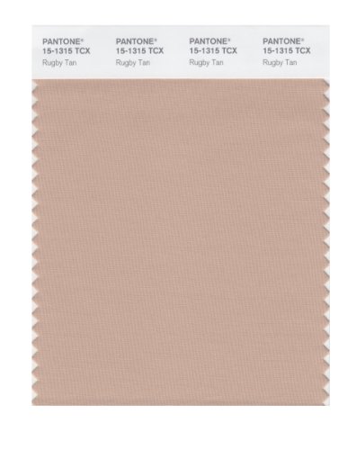【中古】【未使用・未開封品】Pantone スマートカラースウォッチカード 15-1315X 1