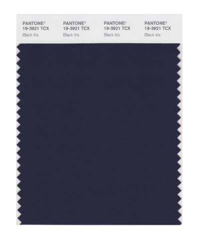 【中古】【未使用・未開封品】Pantone スマートカラースウォッチカード 19-3921X 1