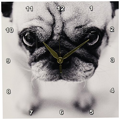 【中古】【未当て嵌める・未開封品】TNMGraphics パグ飾りつけ時辰儀 10×10in