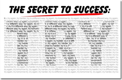 【中古】【未使用・未開封品】成功の秘密は???Try???教室Motivational Poster｜AJIMURA-SHOP