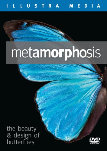 【中古】【未使用・未開封品】Metamorphosis: The Beauty and Design of Butterflies