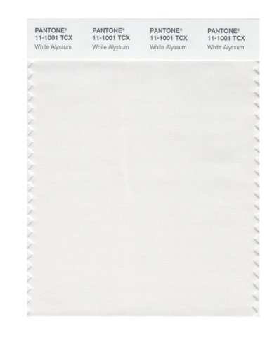 【中古】【未使用・未開封品】Pantone 11-1001 TCX スマートカラースウォッチカード ホワイトアリッサム