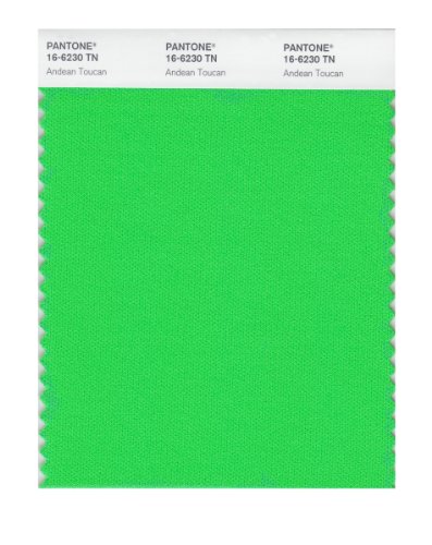 【中古】【未使用・未開封品】Pantone 16???6230ナイロンブライトカラー見本カード|AJIMURA-SHOP