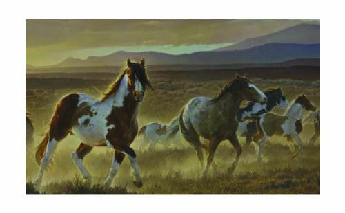 【中古】【未使用・未開封品】York Wallcoverings hj6717mlm砂漠Horse壁画、 HJ6717M 1|AJIMURA-SHOP