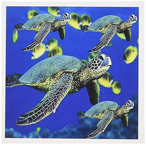 【中古】【未使用・未開封品】Ocean Life???Sea Turtles???グリーティングカード Set of 12 Greeting Cards 11,544円