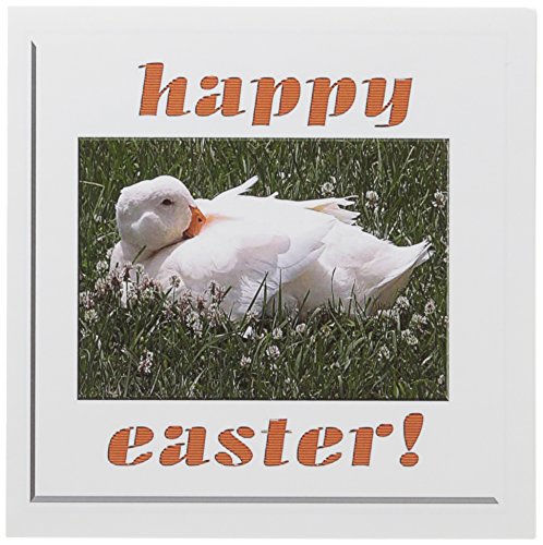 【中古】【未使用・未開封品】ビバリーターナーイースター写真???ホワイトDuck Happy Easter???グリーティングカード Set of 12 Greeting Cards