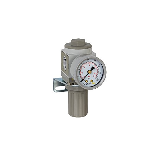 【中古】【未使用・未開封品】PneumaticPlus SAR2000M-N02BG Miniature Air Pressure Regulator 1/4 NPT - Gauge, Bracket by PneumaticPlus