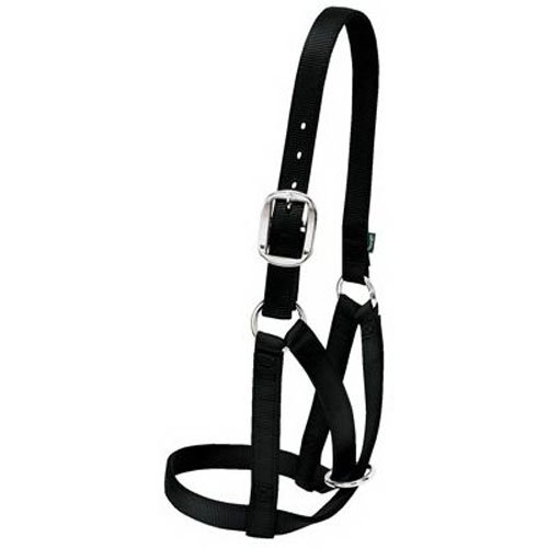 【中古】【未使用・未開封品】(X-Large, Black) - Weaver Leather Barn Cow Halter