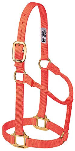 【中古】【未使用・未開封品】Weaver Leather ホルター 調節不可 1"/Large|AJIMURA-SHOP