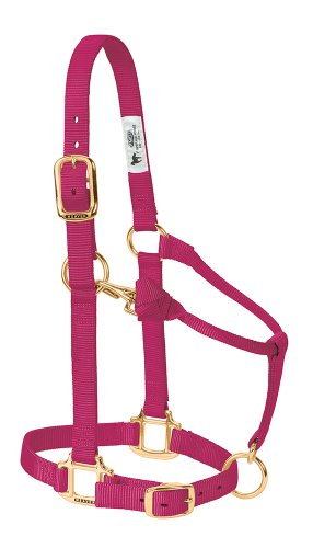 【中古】【未使用・未開封品】(Weanling, Raspberry) - Weaver Leather Adjustable Horse Halter