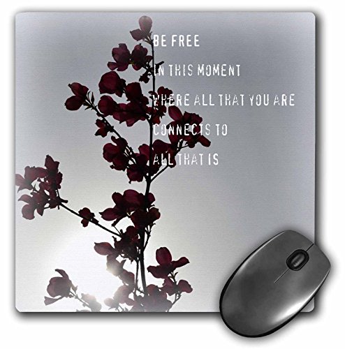 【中古】【未使用・未開封品】3dRose LLC 8 x 8 x 0.25インチ マウスパッド Free Moment Poetry Zen Floral Inspirations (mp_30898_1)|AJIMURA-SHOP