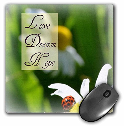 【中古】【未使用・未開封品】3drose LLC 8?x 8?x 0.25インチマウスパッド、Love Dream Hope Ladybug on a Daisyインスピレーション引用符MP _ 31466?_ 1?)