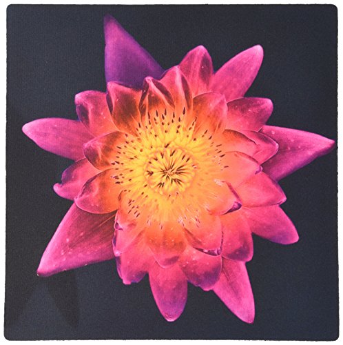 【中古】【未使用・未開封品】3drose LLC装飾カラフルな庭植物植物水ユリゴールドSolarized花抽象パターンマウスパッド、レッドパープル(MP 32370?_ 1?)