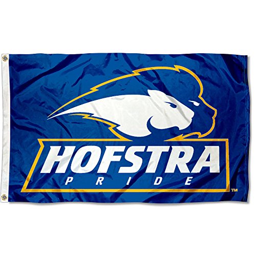 【中古】【未使用・未開封品】Hofstra Pride University Large Collegeフラグ