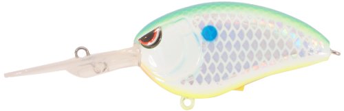 【中古】【未使用・未開封品】(Citrus Shad) - Spro Little John Baby Deep Diving Crank Bait-Pack of 1, Citrus Shad|AJIMURA-SHOP